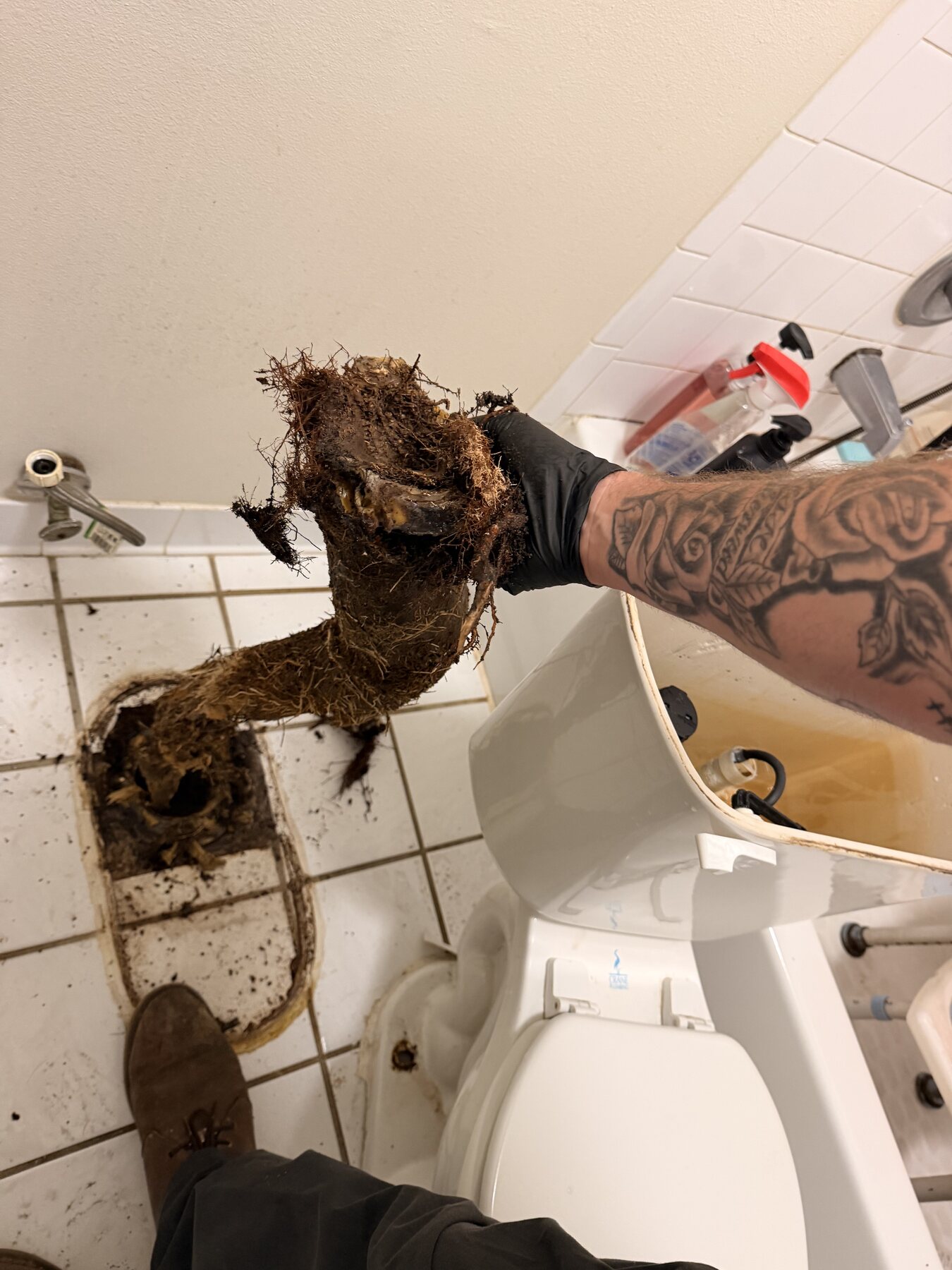 Severe roots removed beneath a toilet by Quick Rooter